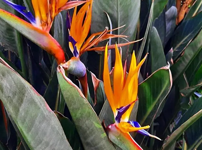 Adeiata Apartment Adiata